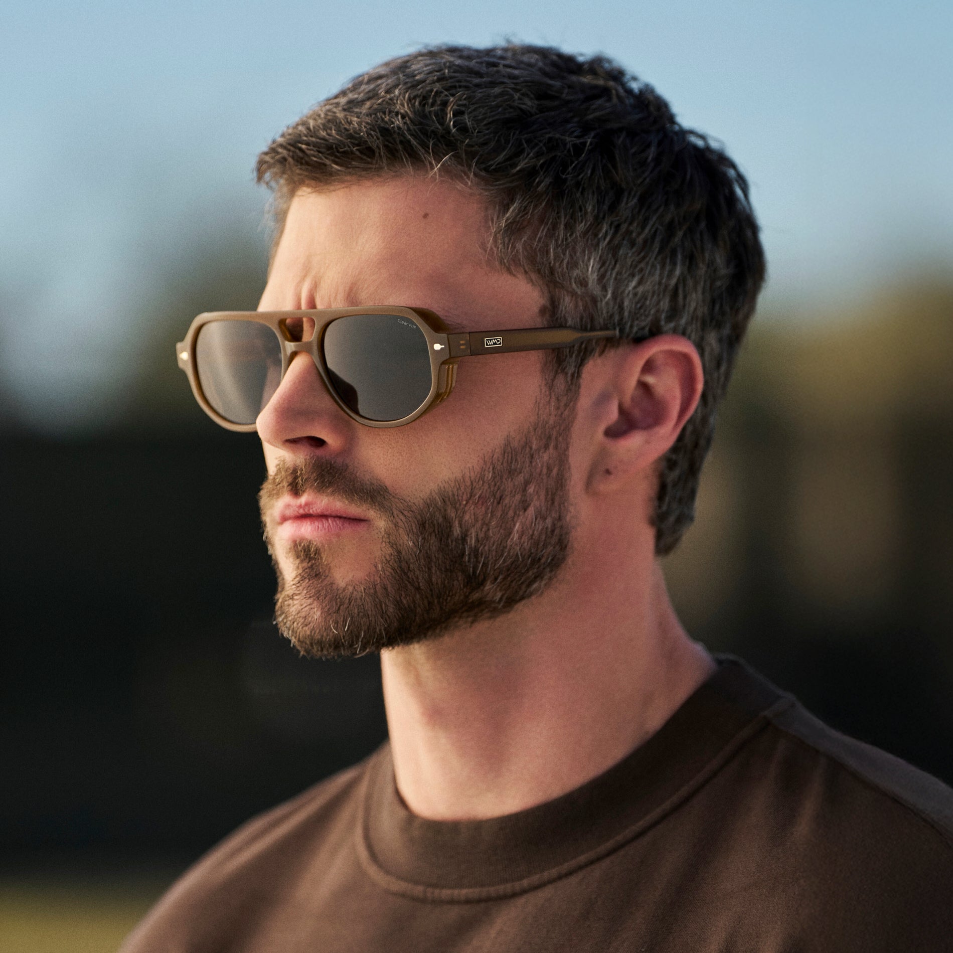 Clay | 1134 Polarized