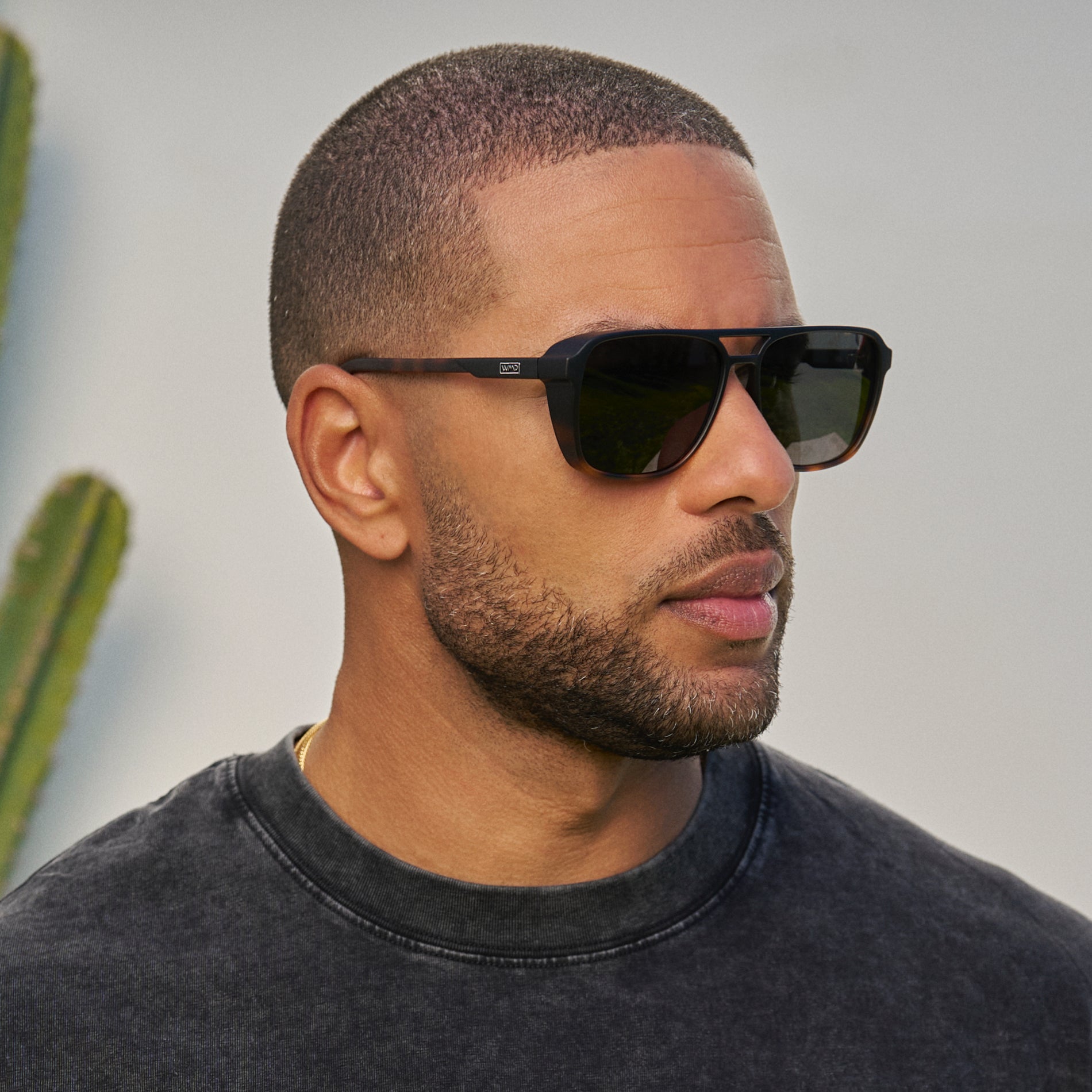 Harvey | 1031 Polarized