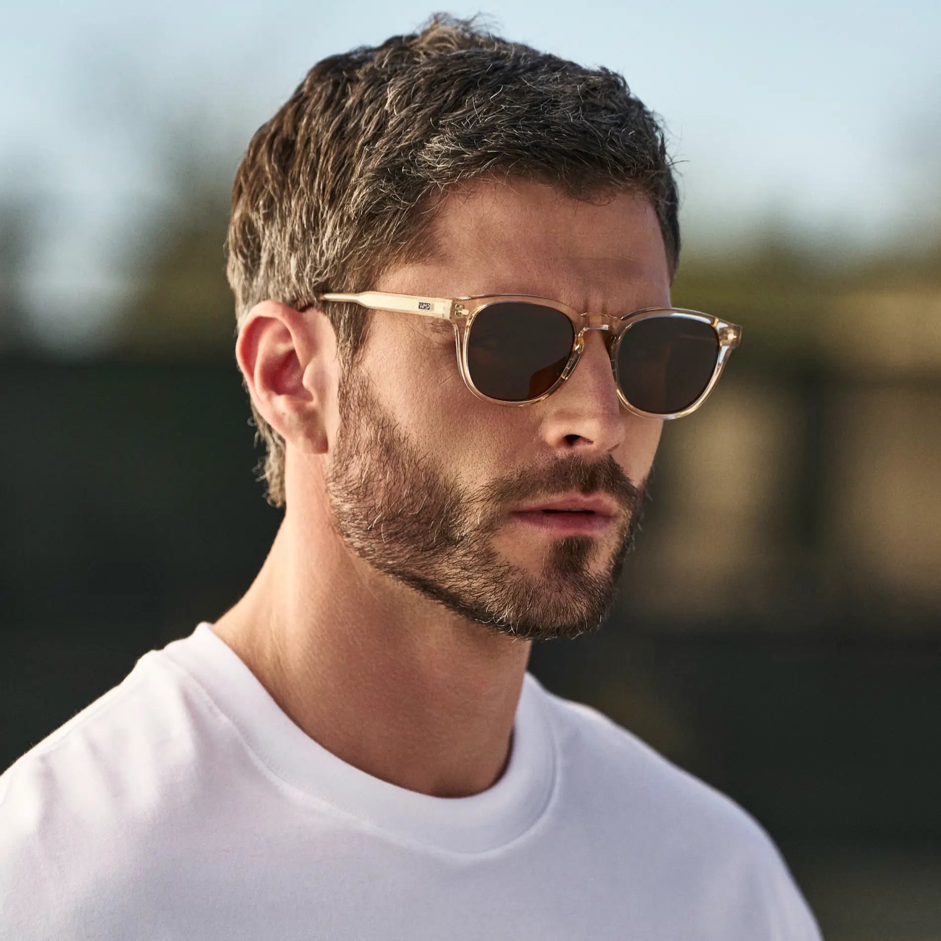 Scout | 1136 Polarized