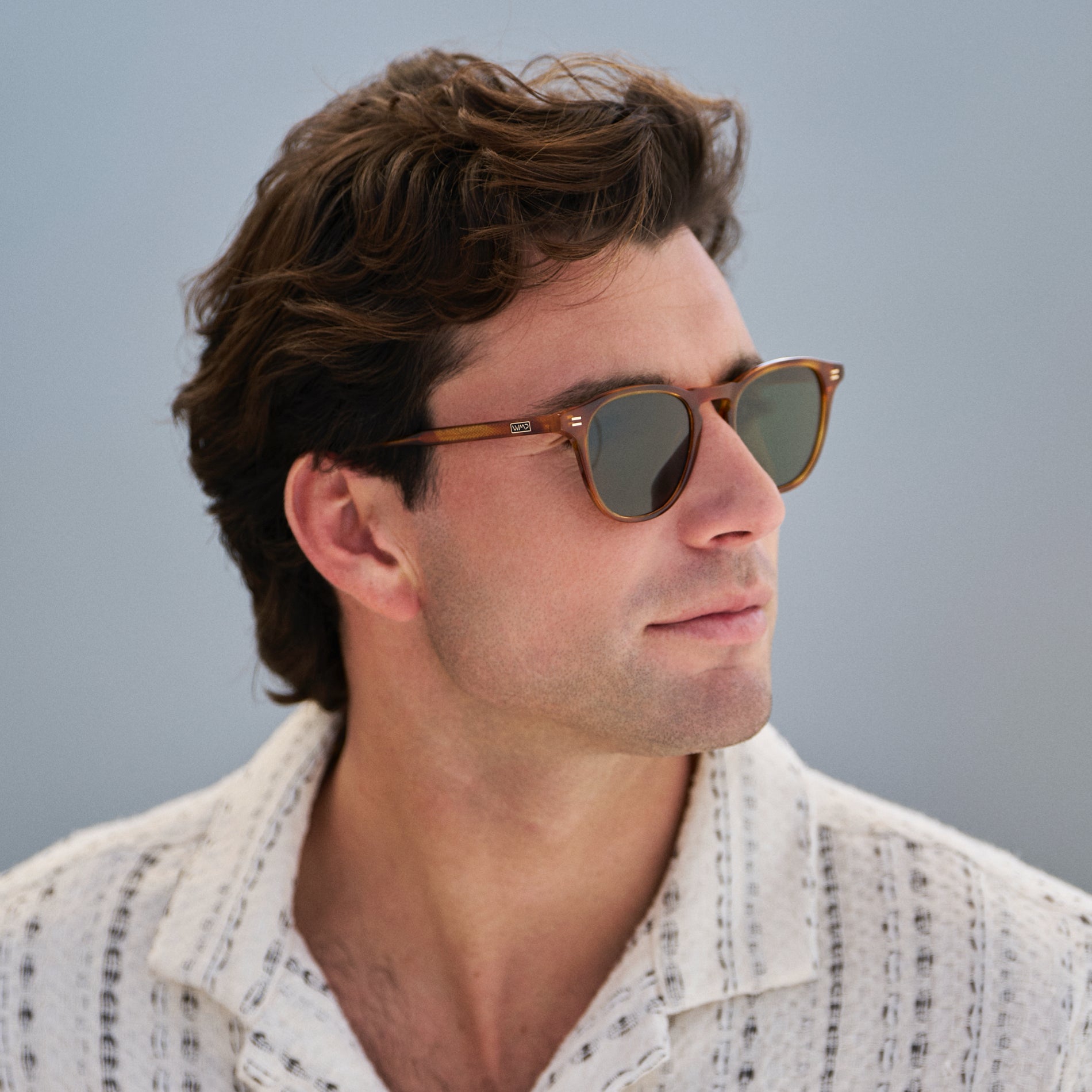 Cameron | 1141 Polarized