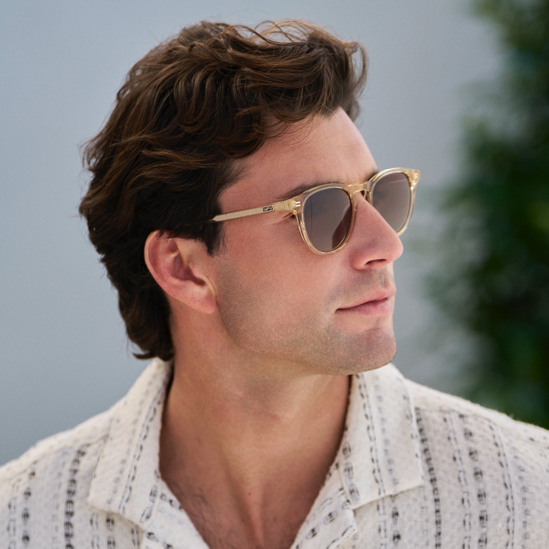 Cameron | 1141 Polarized