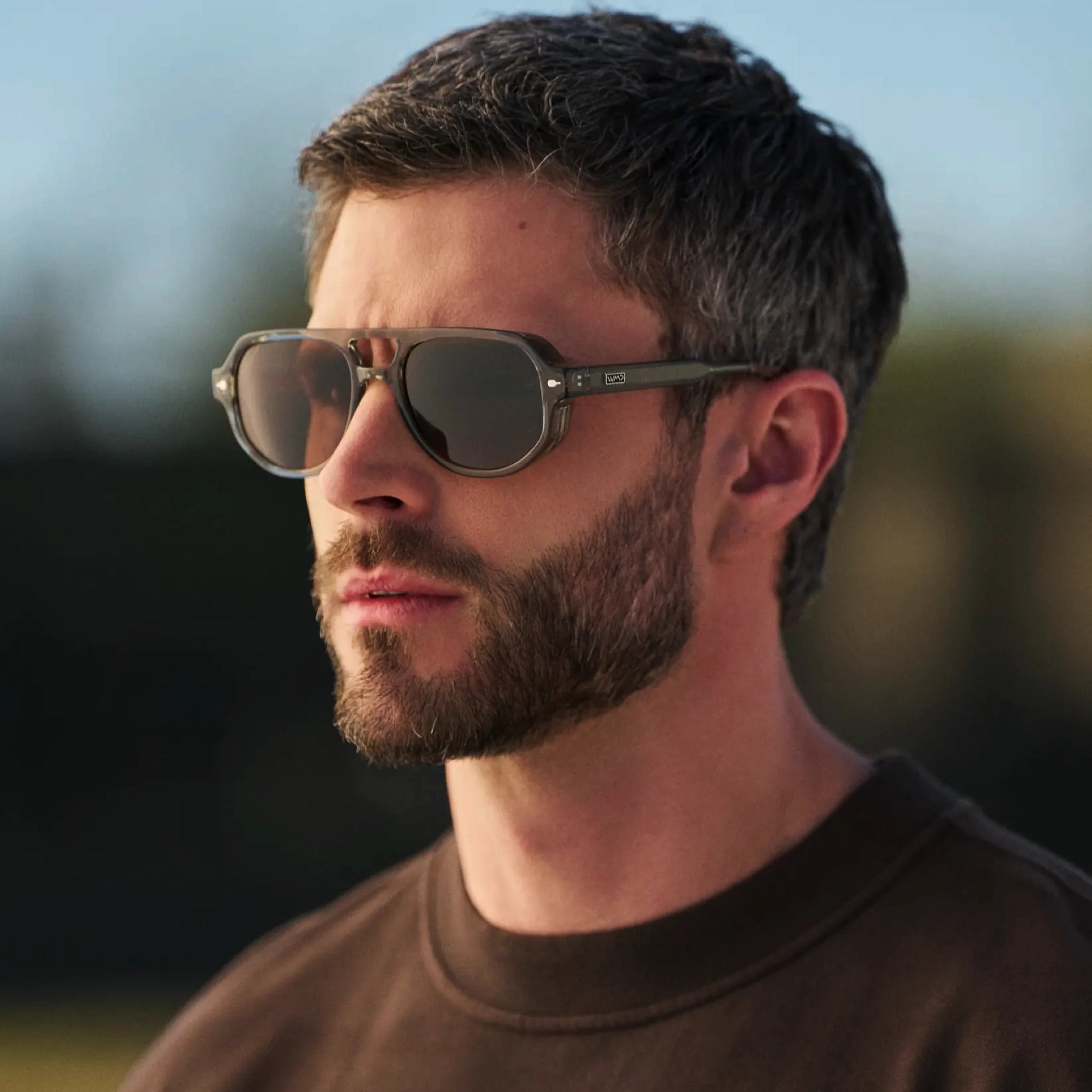 Clay | 1134 Polarized