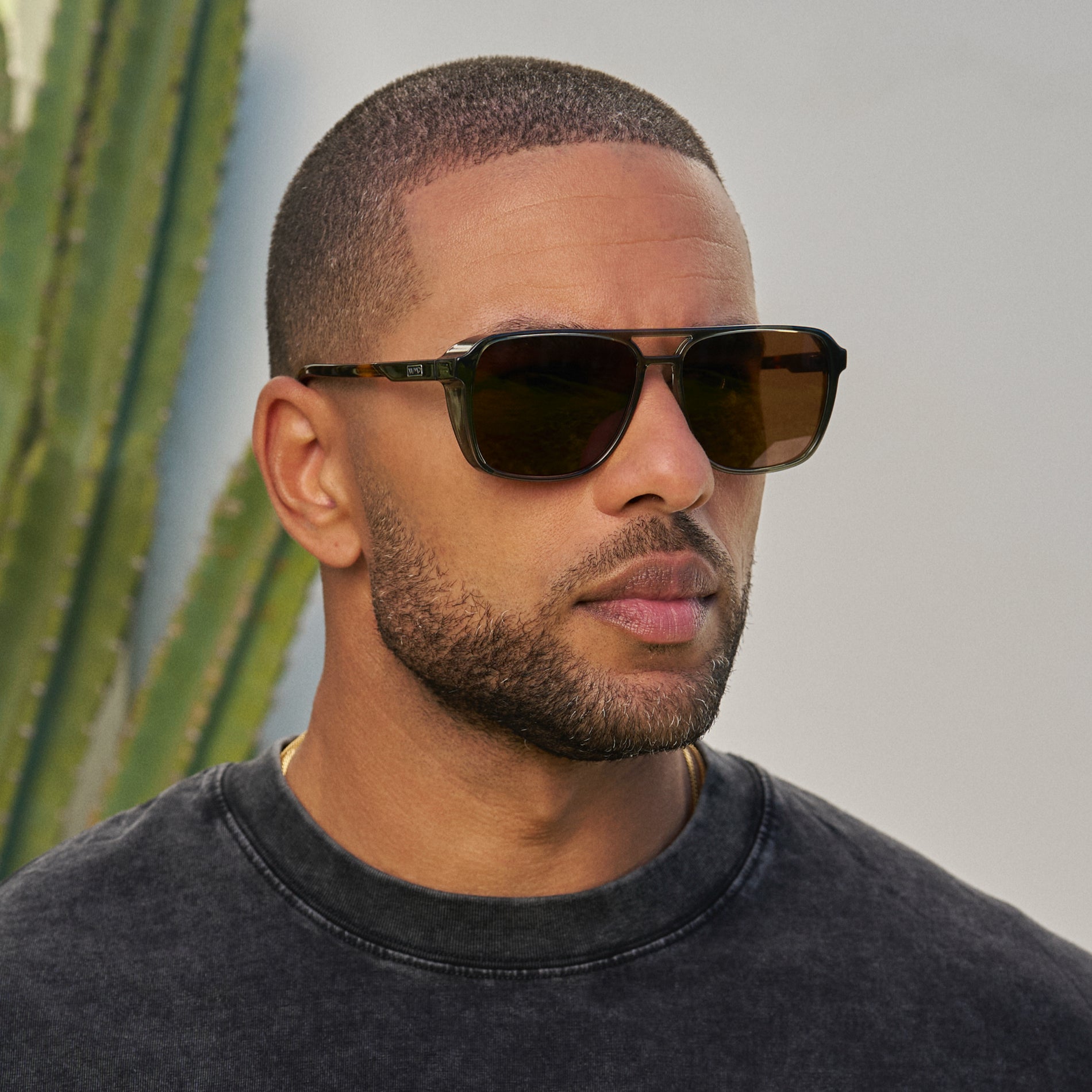 Harvey | 1031 Polarized