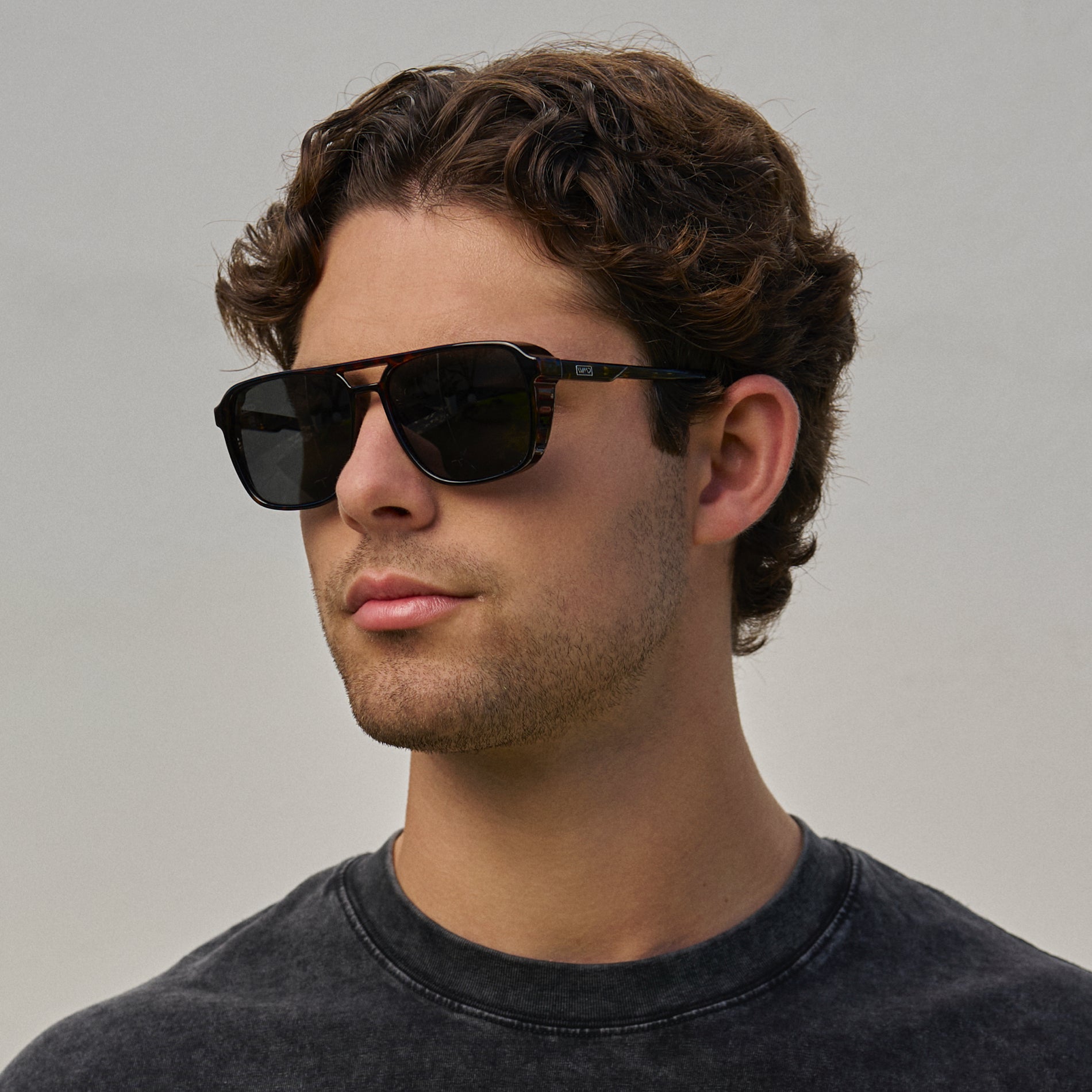 Harvey | 1031 Polarized