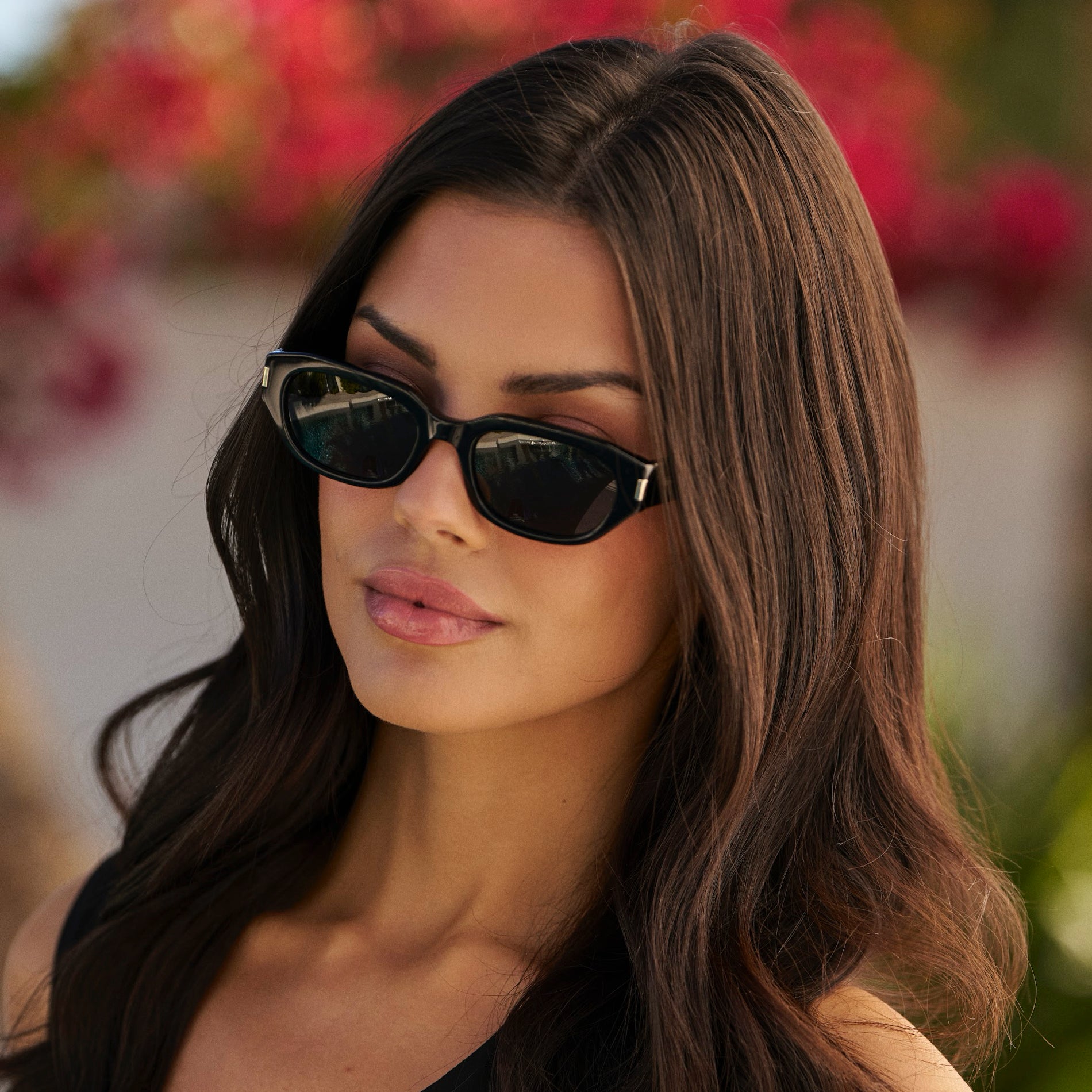 Vera | 1146 Polarized