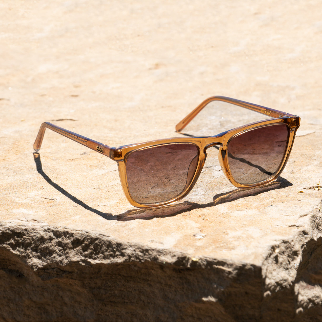 Wesley | 1024 Polarized